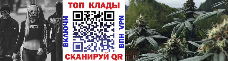 Наркота Снежногорск kraken Конопля Меф ГАШ COCAIN